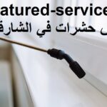 شركة رش حشرات في العين 0543199527