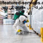 شركة رش حشرات في راس الخيمة