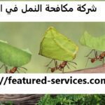 شركة مكافحة النمل في الشارقة |0543199527| ابادة النمل