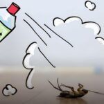 التخلص من البعوض نهائياً بسهولة - مكافحة الحشرات