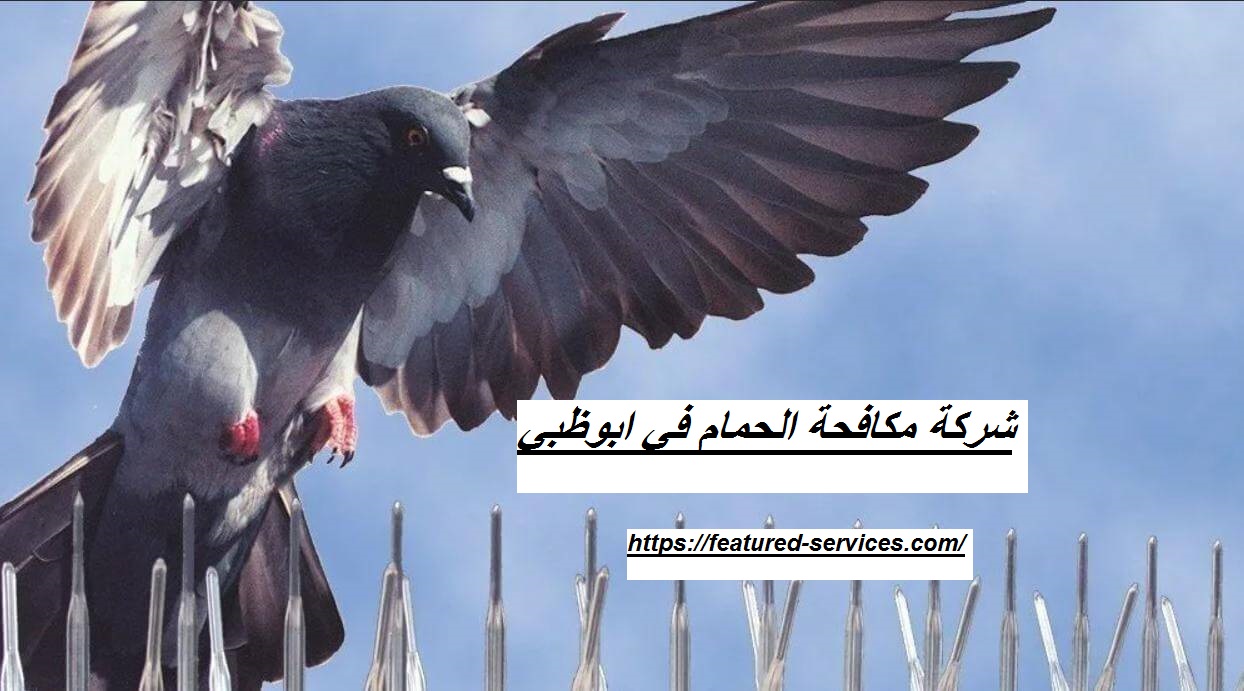 защита балкона от голубей. противопосадочные шипы от голубей. кормушка антиголубь. против птиц. птичий хор.