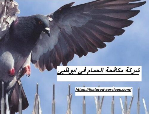 شركة مكافحة الحمام في ابوظبي |0543199527| طرد الطيور