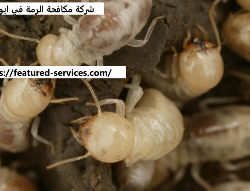 شركة مكافحة الرمة في ابوظبي |0543199527| النمل الابيض