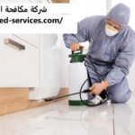 شركة مكافحة الرمة في الشارقة - خدمات مكافحة الحشرات - اتصل 0543199527