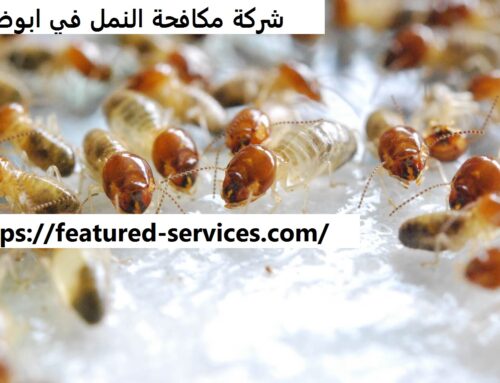 شركة مكافحة النمل في ابوظبي |0543199527| طرد النمل
