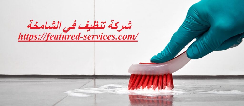 شركة تنظيف في الشامخة ابوظبي |0543199527| تنظيف منازل