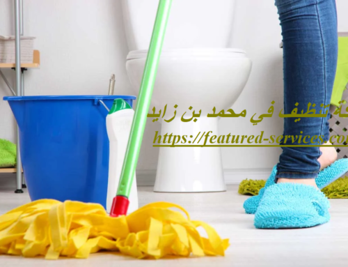 شركة تنظيف في محمد بن زايد ابوظبي |0543199527| تنظيف شامل